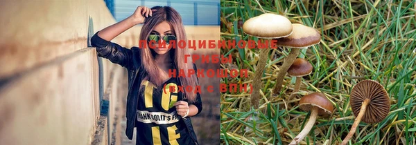 spice Богородск