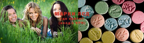 spice Богородск