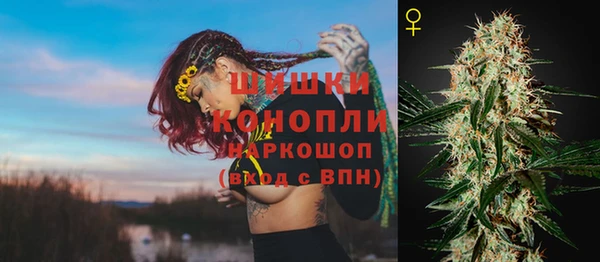 spice Богородск